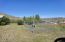 Dog Run