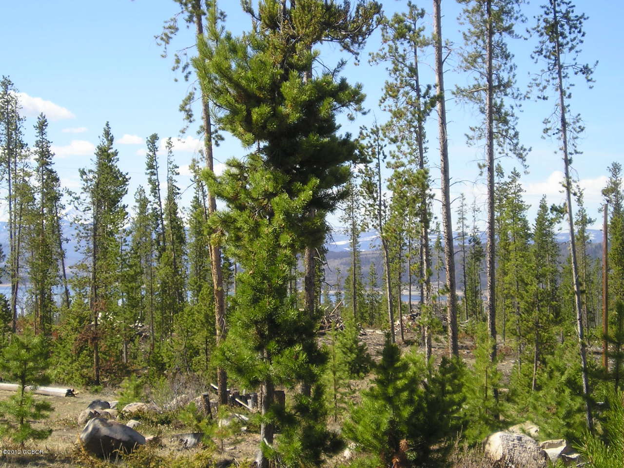 Distant Lake Views to the South!