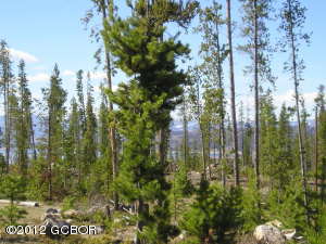 Distant Lake Views to the South!