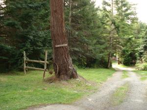 4554 Mitchell Road, Eureka, CA, 95503, USA