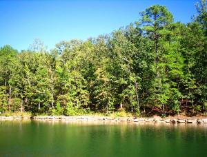 Mineridge main photo Dadeville real estate - Mineridge - Dadeville AL homes for sale