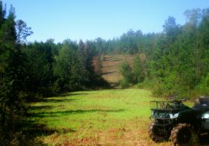 Lovelady main photo Dadeville real estate - Lovelady - Dadeville AL homes for sale