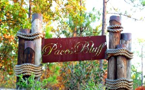 Paces Way main photo Dadeville real estate - Paces Way - Dadeville AL homes for sale