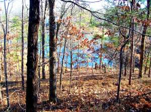 Lake Forest -lot 7 & 8 main photo Dadeville real estate - Lake Forest -lot 7 & 8 - Dadeville AL homes for sale