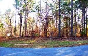 Flat Rock Lot 18 main photo Dadeville real estate - Flat Rock Lot 18 - Dadeville AL homes for sale