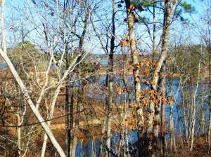 Flat Rock Lot 11 main photo Dadeville real estate - Flat Rock Lot 11 - Dadeville AL homes for sale