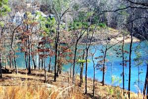 Lake Forest -lot 9 & 10 main photo Dadeville real estate - Lake Forest -lot 9 & 10 - Dadeville AL homes for sale