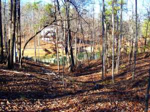 Lake Forest -lot 1 main photo Dadeville real estate - Lake Forest -lot 1 - Dadeville AL homes for sale