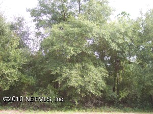 111  Andree Interlachen, FL 32148