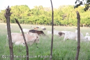 FRANQUICIA MASTER Terreno Residencial en Venta en Los Rios en Panama Código: 11-86 No.2