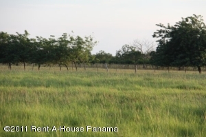 FRANQUICIA MASTER Terreno Residencial en Venta en Los Rios en Panama Código: 11-86 No.3