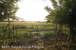 FRANQUICIA MASTER Terreno Residencial en Venta en Los Rios en Panama Código: 11-86 No.5
