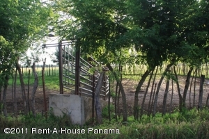 FRANQUICIA MASTER Terreno Residencial en Venta en Los Rios en Panama Código: 11-86 No.8
