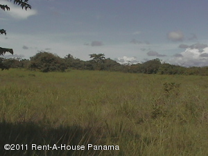 FRANQUICIA MASTER Terreno Comercial en Venta en Chorrera en La chorrera C&oacute;digo: 11-105 No.2