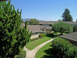313  MORETON BAY