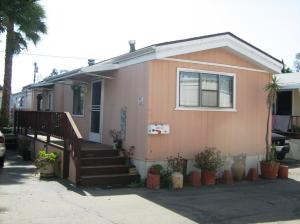 520  PINE