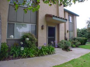 1045  Palmetto