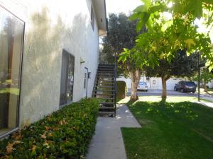 5975  HICKORY #4