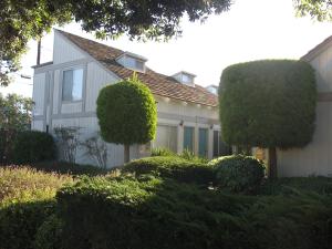 220  ELM