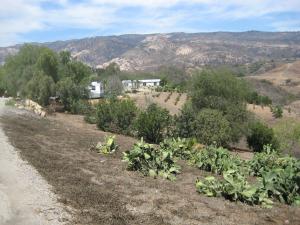 6210  SUNSET RIDGE