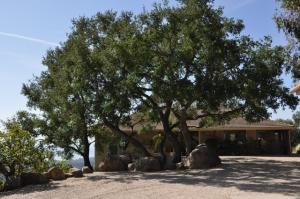 2330  BELLA VISTA