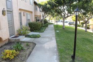 6075  JACARANDA