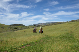 1741  SAN MARCOS PASS