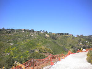 125  CANON VIEW