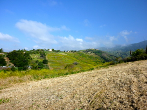 BARGER CANYON