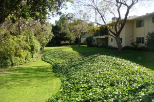 3639  San Remo