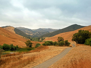 111  HOLLISTER RANCH