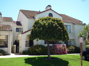 1220  FRANCISCAN