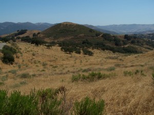 1323  ROLLING MEADOW