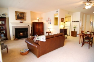 4501  CARPINTERIA