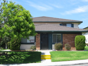 5936  Birch