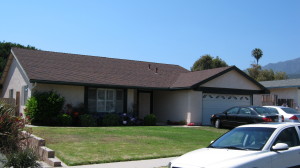 1466  CAMELLIA