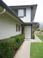 5966  BIRCH