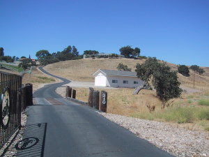 310  MEADOWLARK