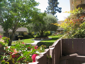 357  MORETON BAY