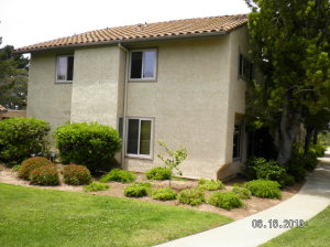 1092  PALMETTO