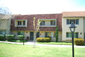 6015  JACARANDA