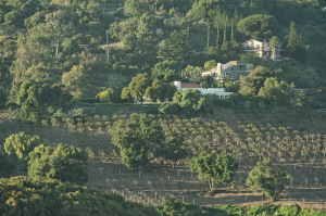 7200  CASITAS PASS