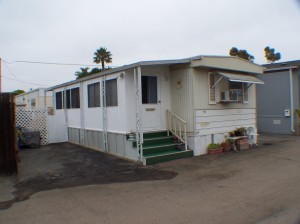 520  PINE