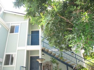 409  CAMINO DEL REMED