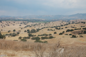 ZACA STATION