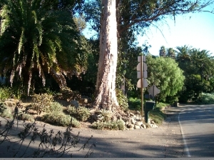 1790  SYCAMORE CANYON