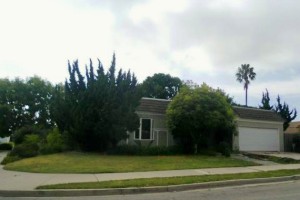 7339  Aviano