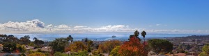 165  CEDAR