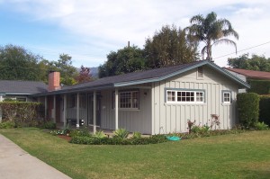 5324  Star Pine