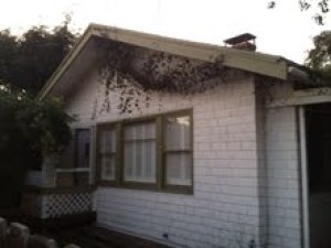 132 W Haley